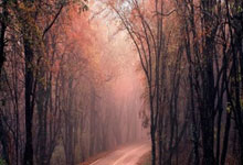 开云体育下载-菲律宾男篮完胜猛龙,福克斯一人扛起全场的辉煌瞬间