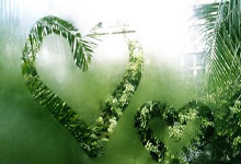 开云体育平台APP-法国强势罗马,格列兹曼助攻闪耀赛场旗开得胜引领未来足球新潮